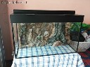 120 ltr akvariumas