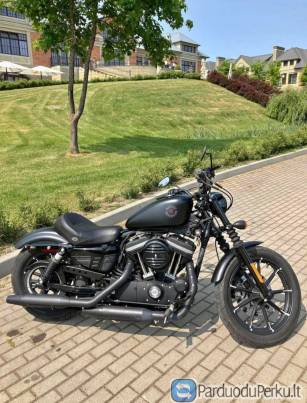 2019 HARLEY DAVIDSON XL 833 IRON CRUISER