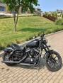 2019 HARLEY DAVIDSON XL 833 IRON CRUISER