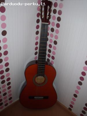 Muzikos instrumentas - gitara