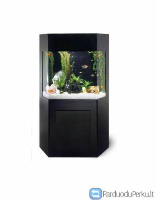 Akvariumų priežiūra  aptarnavimas Lietuvoje