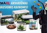 Akvariumai, akvariumų įranga, filtravimo medžiagos, akvariumo šildytuvai