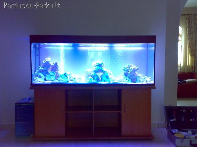 akvariumai-gamyba, zuvys,augalai