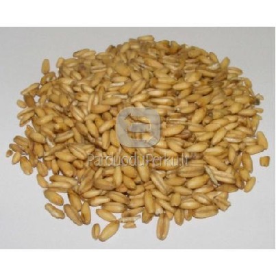 Avizos Ekologiskos parduodu