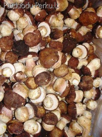 Didmeninė ir mažmeninė prekyba miško grybais bei uogomis