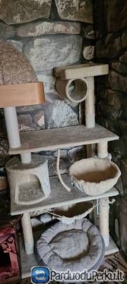 Draskyklė su aikštelėmis