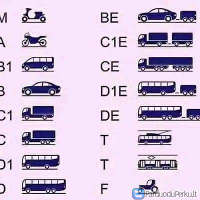 Gaukite vairuotojo pažymėjimą internetu.