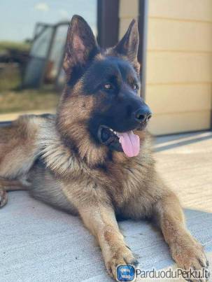 Gime gegužies 13 d.