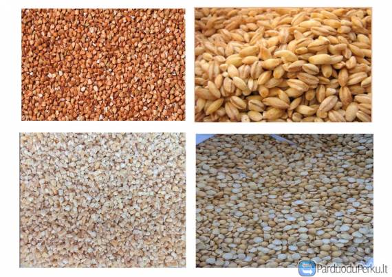 Grūdai iš gamintojo