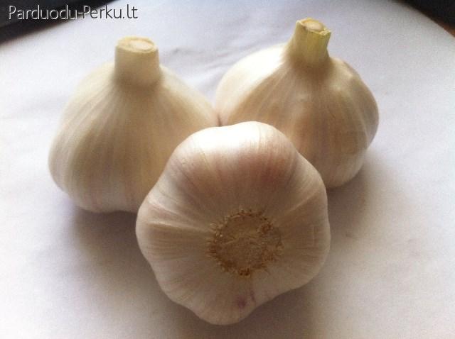 Žieminiai česnakai