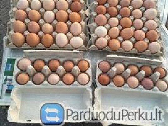 Kaimiški Kiaušiniai