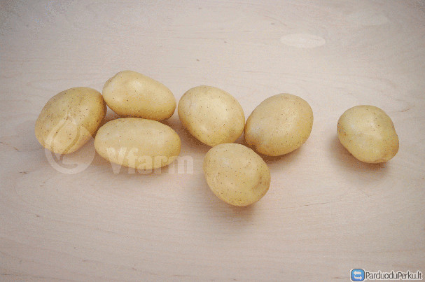 Maistinės Bulvės Verona didmena ir mažmena