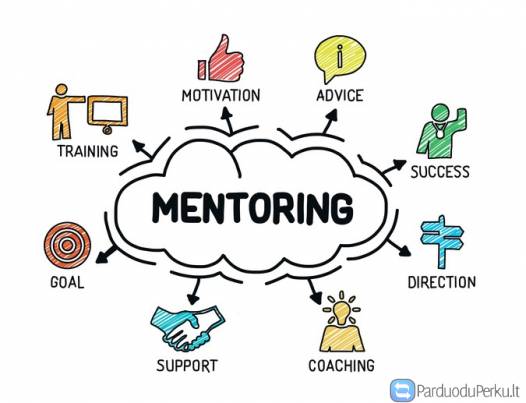 Mentorystės programa