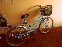 Mėlynas vintage dviratis