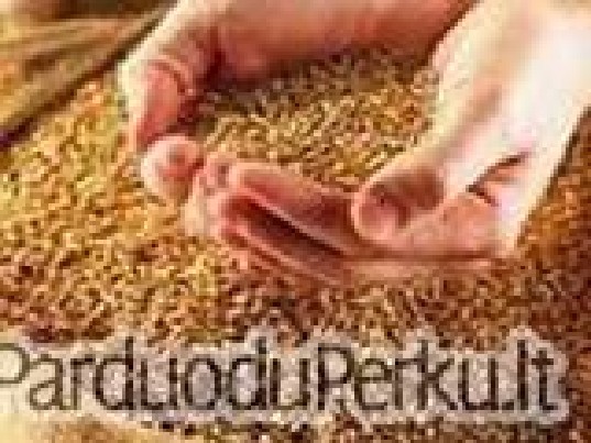 Nuolat superkame grudus,rapsus