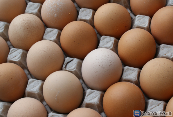 Pajūrio naminiai kiaušiniai,užauginti laisveje.