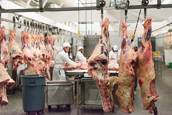 Parduoda jautienos skerdieną