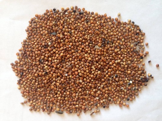 Parduoda sorgas raudona, garstyčių geltona.