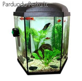Parduodamas naujas Šešiakampis akvariumas HEXASET 60