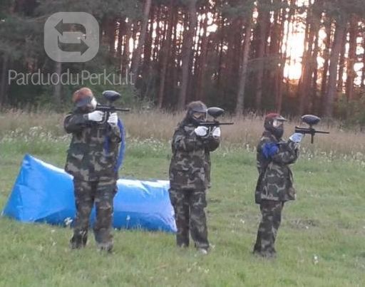 Parduodamas pelningas veikiantis dažasvydžio verslas Vilniuj