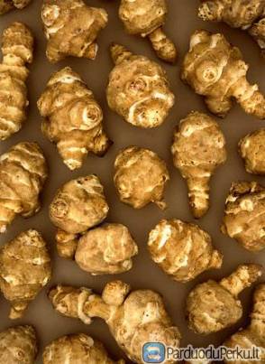 Parduodame topinambus (žiemines bulves, bulvines saulėgrąžas