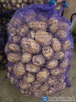 Parduodamos daržovės iš ūkio