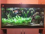 Parduodu 300l akvariumą su spintele ir įranga