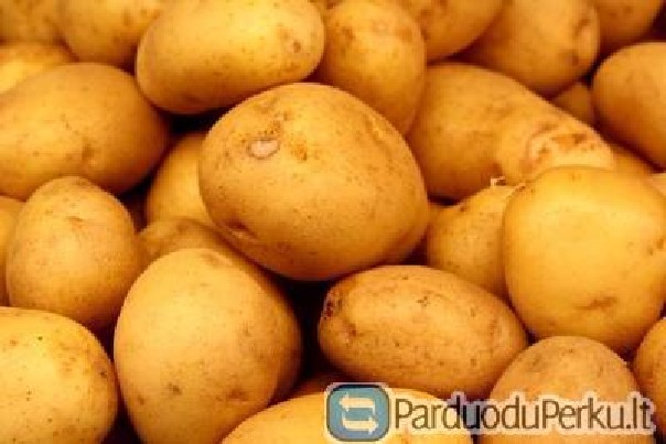 Parduodu Bulves Adora, Barvina, Vineta, Valisa