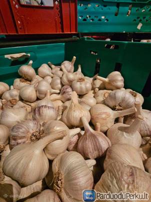 Parduodu didelis ekologiškus česnakus