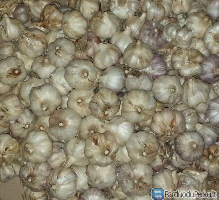 Parduodu ekologiškus česnakus, svogūnus ***