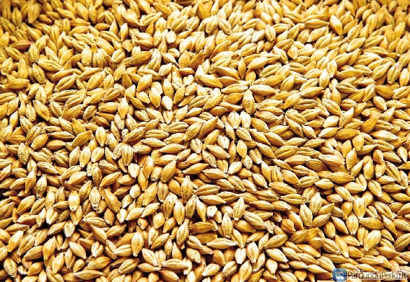 PARDUODU MIEZIUS 40t ekologiskus, sertifikuotus