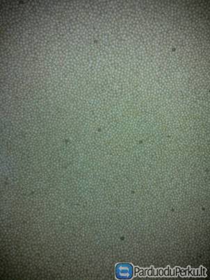 Parduodu "Respect" veislės žirnius