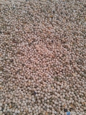 Parduodu žirnius 180 eurų/ tona