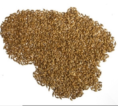 Perkame visus grūdus maistinius-pašarinius.Turime transportą