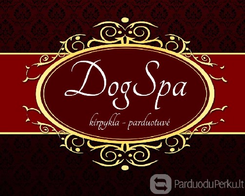 Profesionalus Jorkšyro terjerų kirpimas Vilniiuje