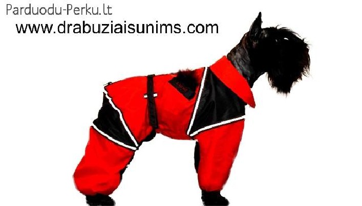 Siuvame rūbus šunims