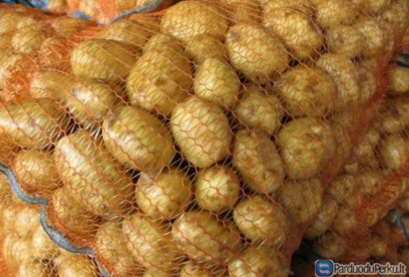 Skanios maistinės bulvės