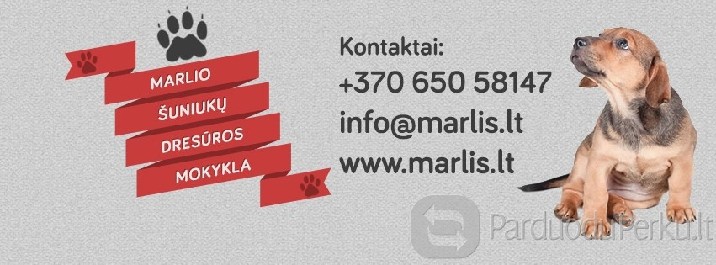 Šuniukų dresūros mokykla