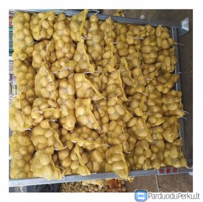 šviežių bulvių „Whatsapp“ +45 36 99 01 82
