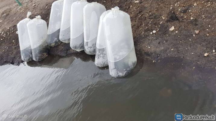 Sykas ir seliava.mailius izuvinimui, zuvys izuvini