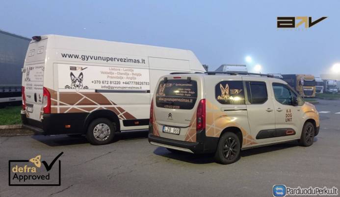 Tarptautinis gyvūnų pervežimas