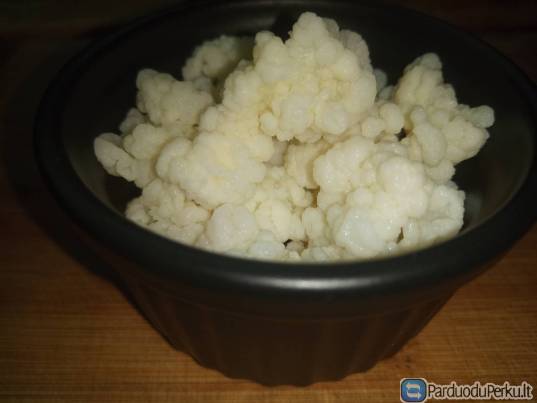 Tibeto pieno grybas Vilnius