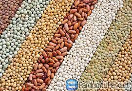 UAB"Asuma"superka grūdus,rapsus,žirnius