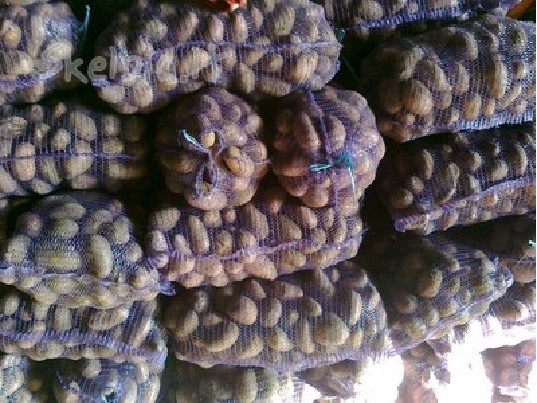 VINETA sertifikuotos bulv4s