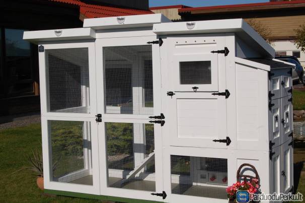 Vištidė, vištos, kiaušiniai, vištų namas