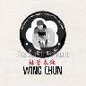 Wing Chun Kung Fu