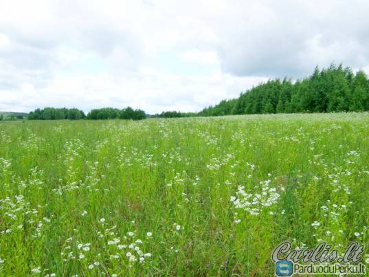 1,75 ha žemės sklypas Rukainių k., Rukainių sen., Vilniaus raj.