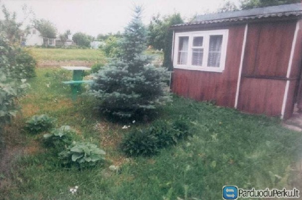 Nebrangiai 12 a sodas su vasarnamiu Marijampoles sav S.B Gul