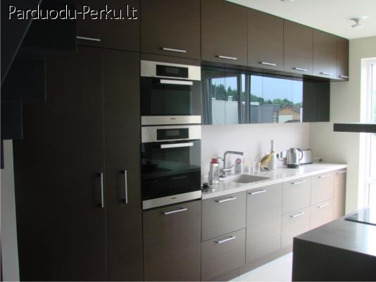 INDIVIDUALUS BALDAI GAMYBA IR PROJEKTAVIMAS