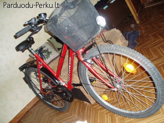 Moteriskas dviratis is Voketijos